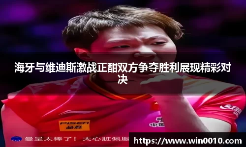 海牙与维迪斯激战正酣双方争夺胜利展现精彩对决
